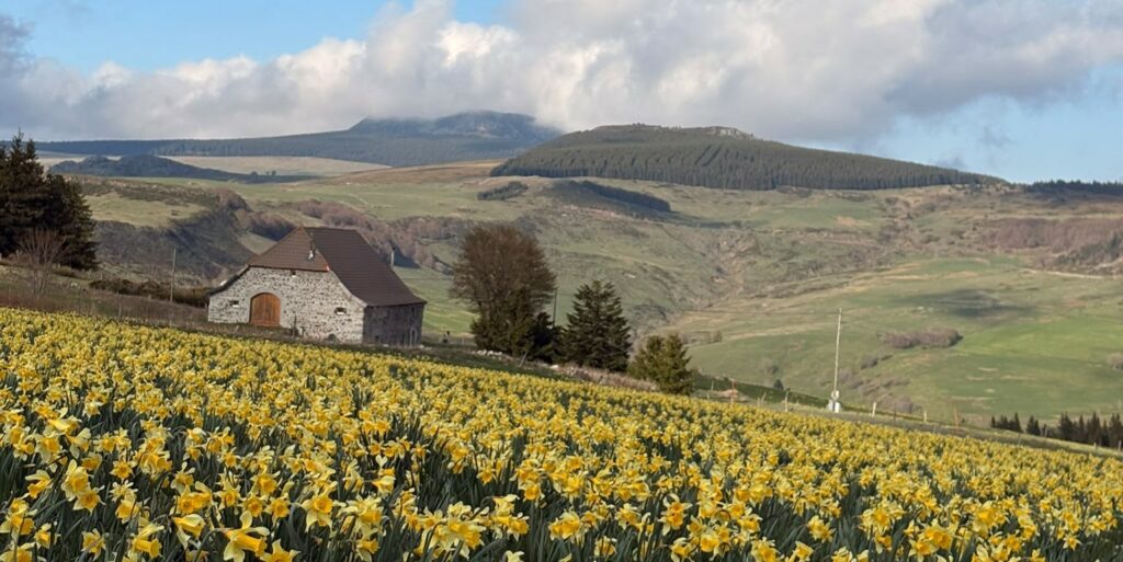 Communauté de Communes Montagne d&rsquo;Ardèche